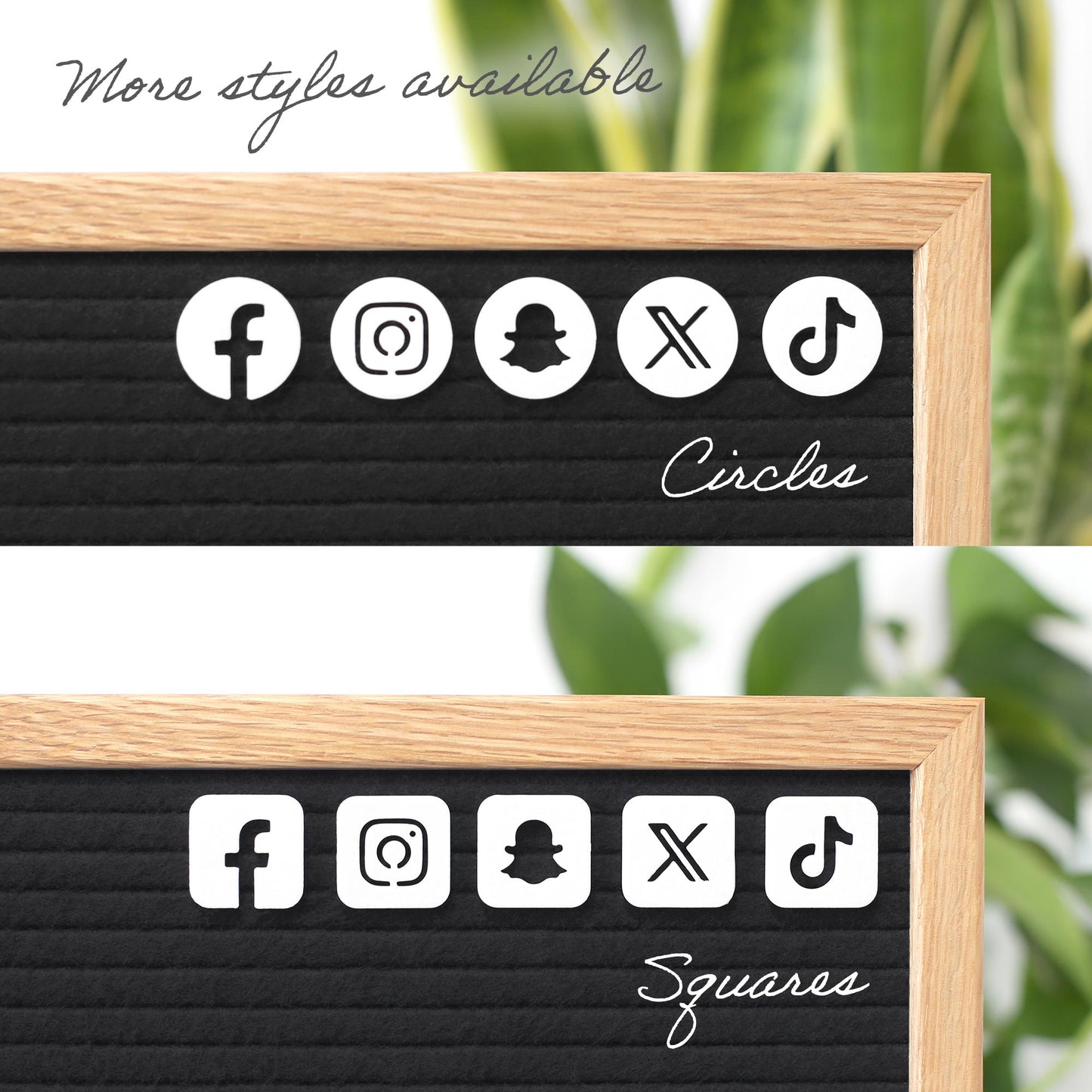 Social Media Icons (Circles)