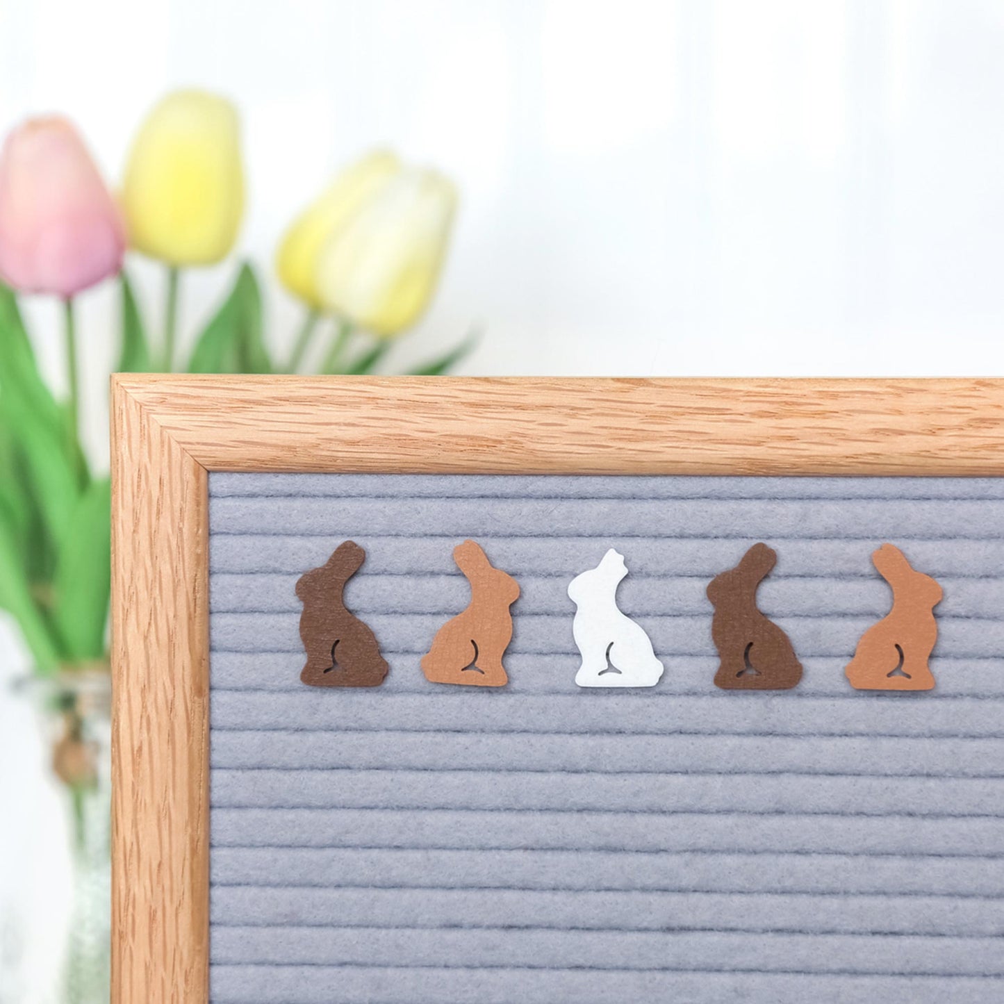 Chocolate Bunnies