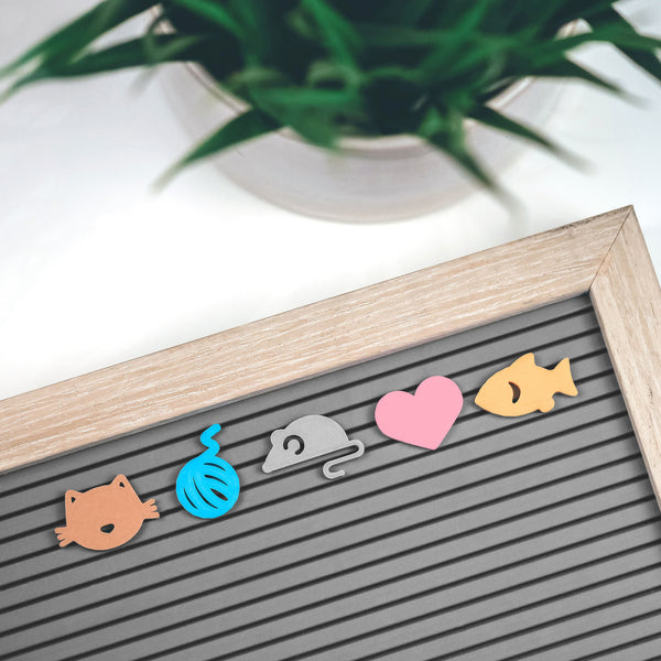 Feline Friends