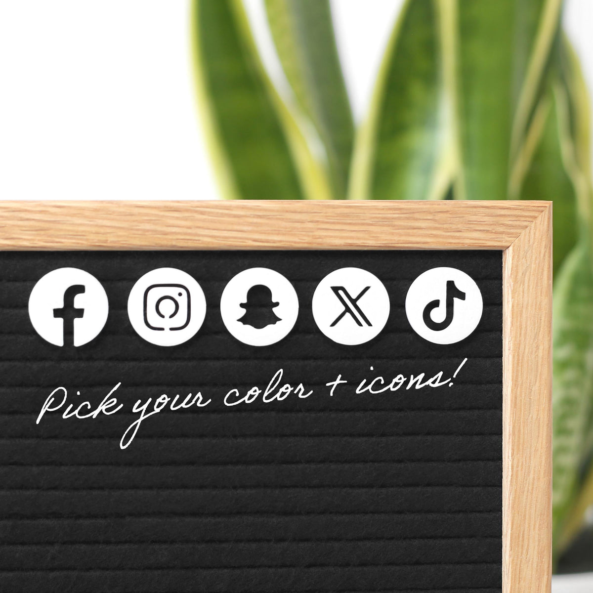 Social Media Icons