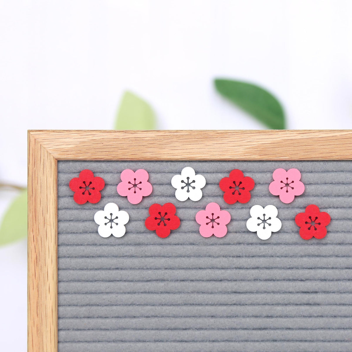 Cherry Blossoms Minis
