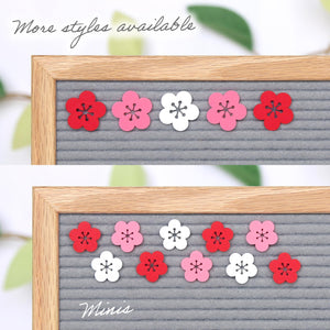 Cherry Blossoms - Minis