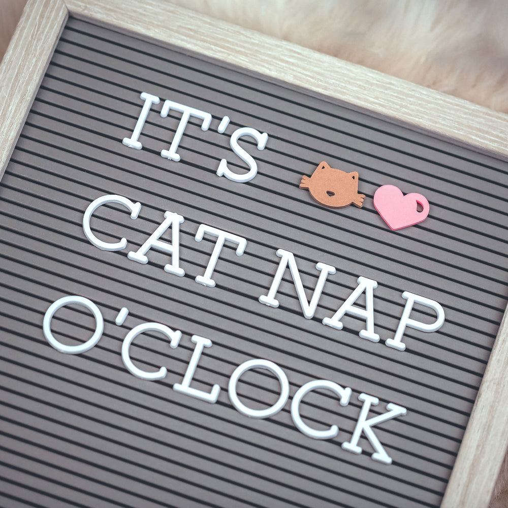 Feline Friends - Cat & New Pet Letter Board / Letterboard Icon Collection