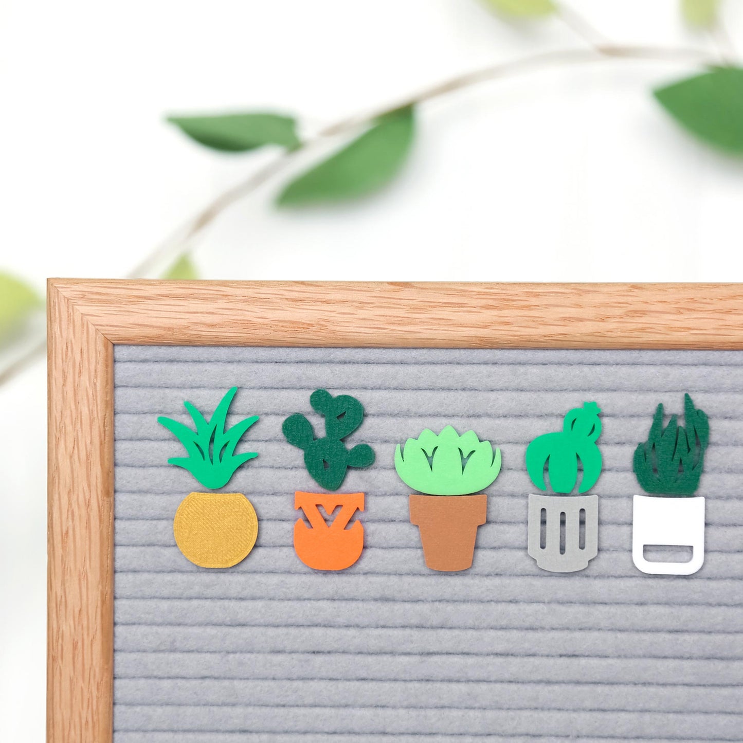 Succulents & Planters Bundle