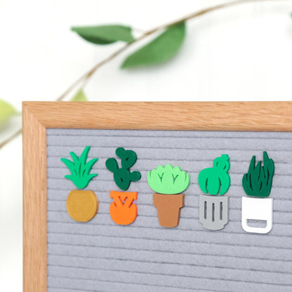 Succulents & Planters Bundle