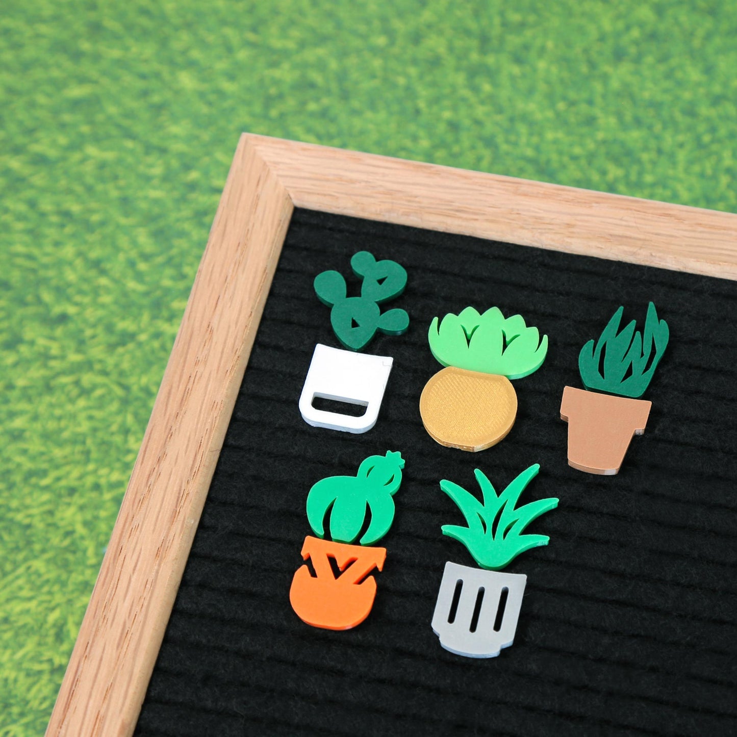 Succulents & Planters Bundle