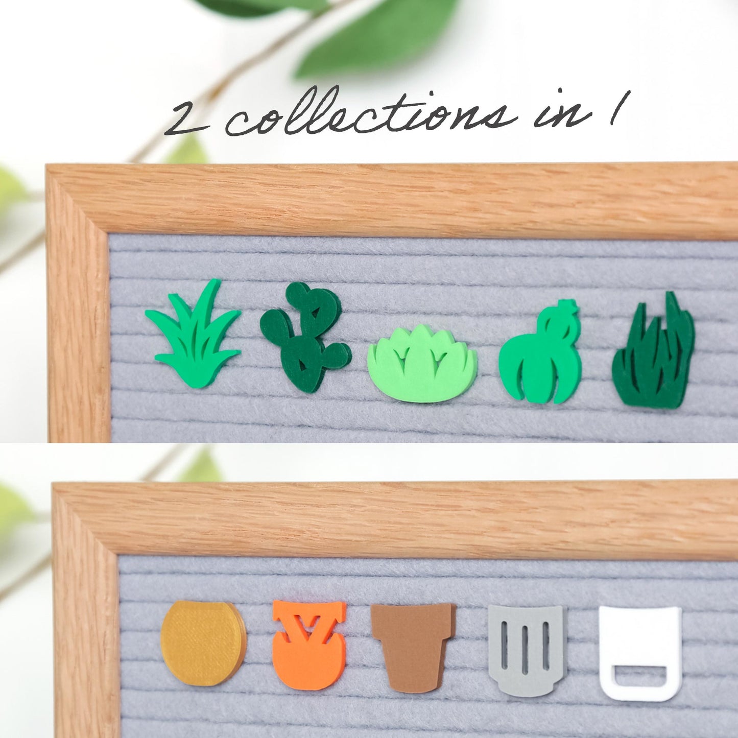 Succulents & Planters Bundle